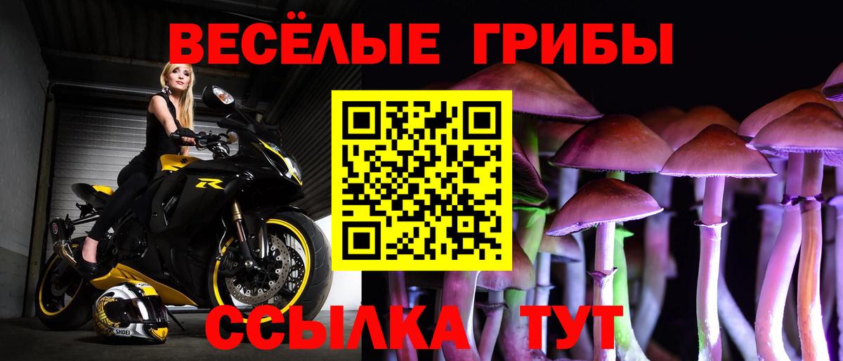 Топки  Галлюциногенные грибы Magic Shrooms  Вход с VPN 