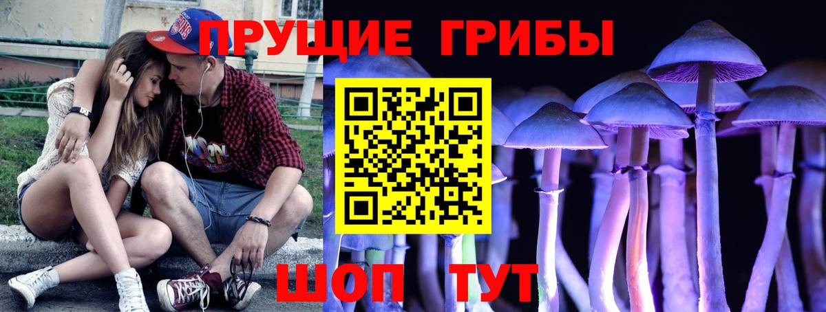 Псилоцибиновые грибы Cubensis Топки